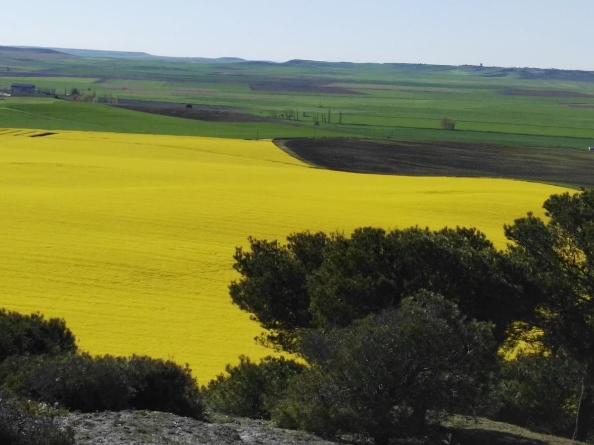 La Aldea Colorada Casa Rural Mota del Marqués Kültér fotó