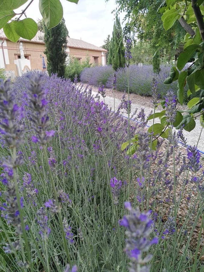 La Aldea Colorada Casa Rural Mota del Marqués Kültér fotó